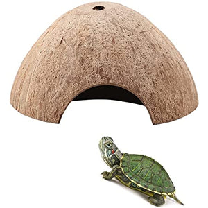 Coconut turtle